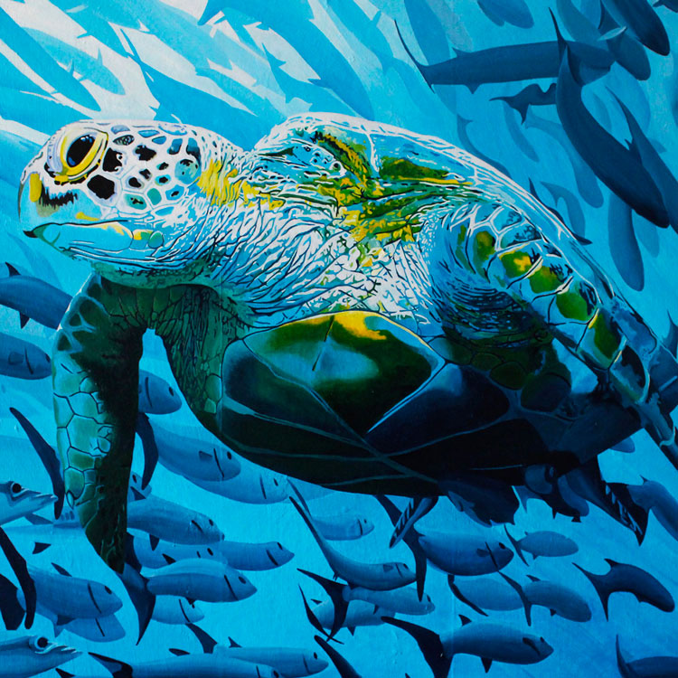 TripleH Painting Turtle
